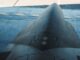 Saab Future Fighter System Concept